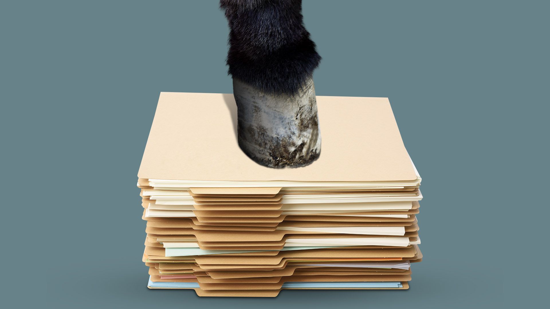 Illustration of a donkey hoof on a pile of file folders