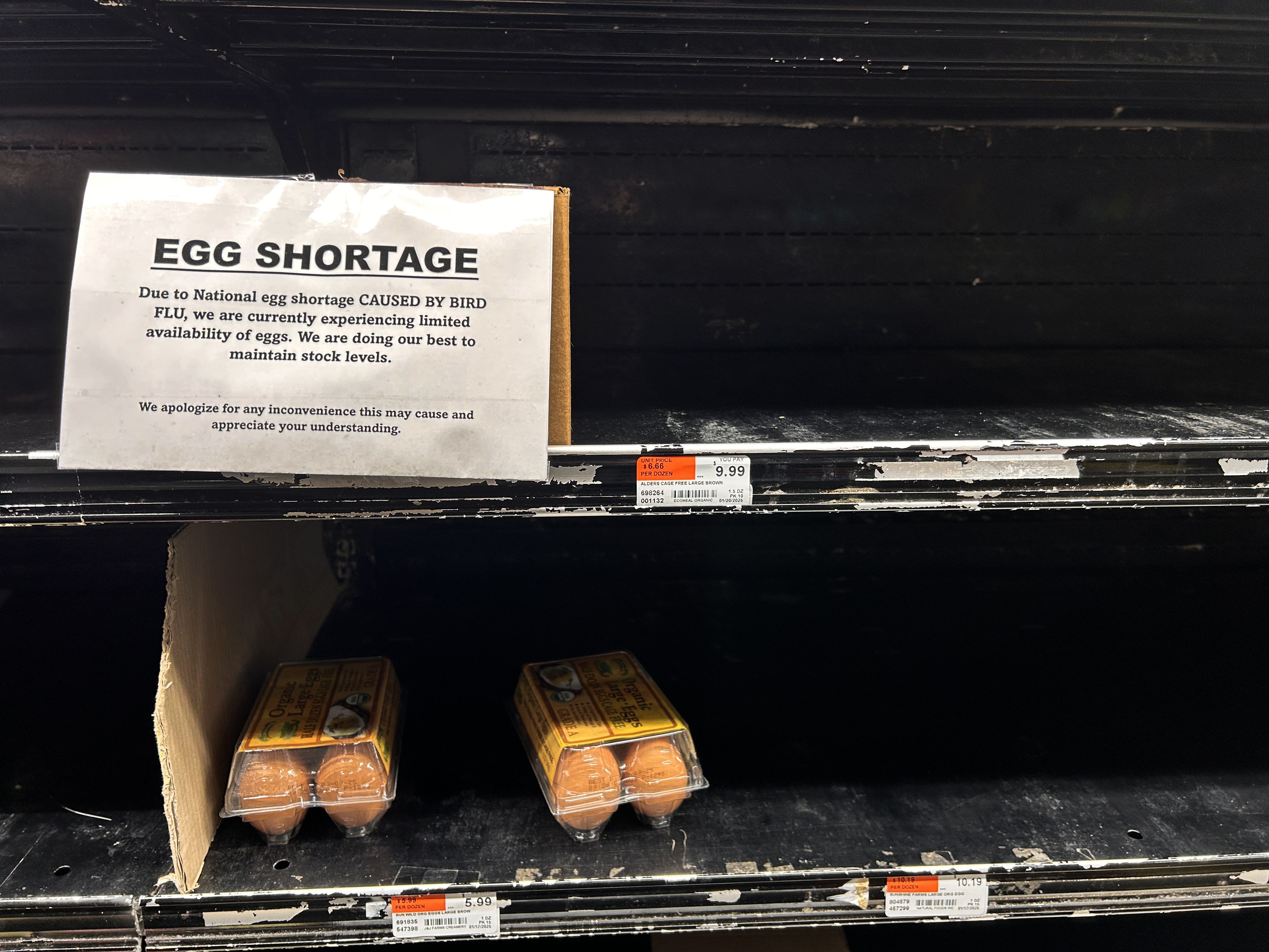 National Egg Shortage due to Bird Flu, sign on empty shelf at supermarket, Queens, New York. (Photo by: Lindsey Nicholson/UCG/Universal Images Group via Getty Images)