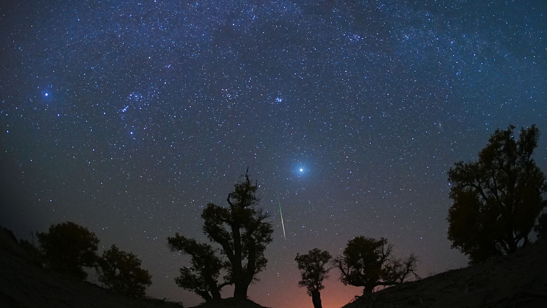 Bright meteor streaks across a dark sky that features pink near the silhouettes of trees over a desert during the October 2023 Orionid meteor showein Yuli County, Bayingolin Mongol Autonomous Prefecture, Xinjiang Uygur Autonomous Region of China.