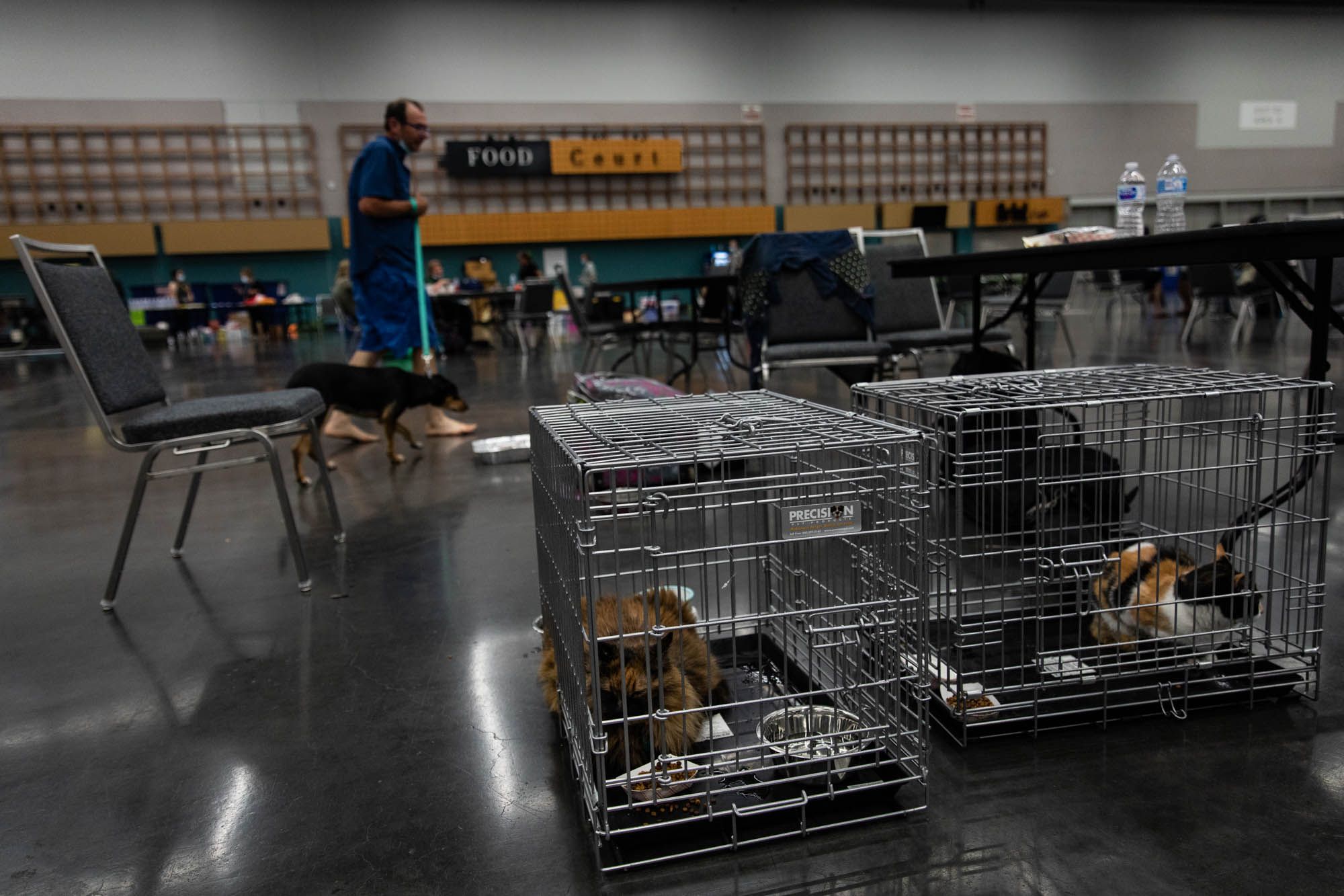 Pets sit in crates at a public cooling shelter set up at the Oregon Convention Center during a heatwave 