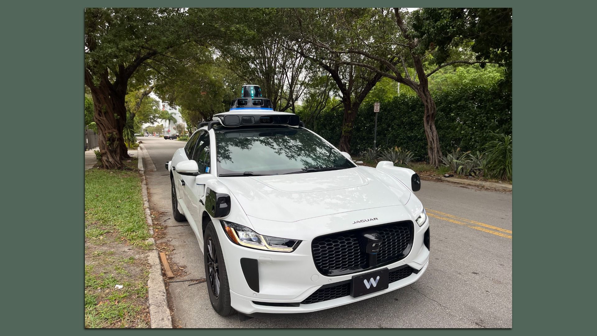 White Jaguar electric vehicle equipped with rooftop and side sensors for autonomous driving, parked on a tree-lined street with greenery and a gray road surface.