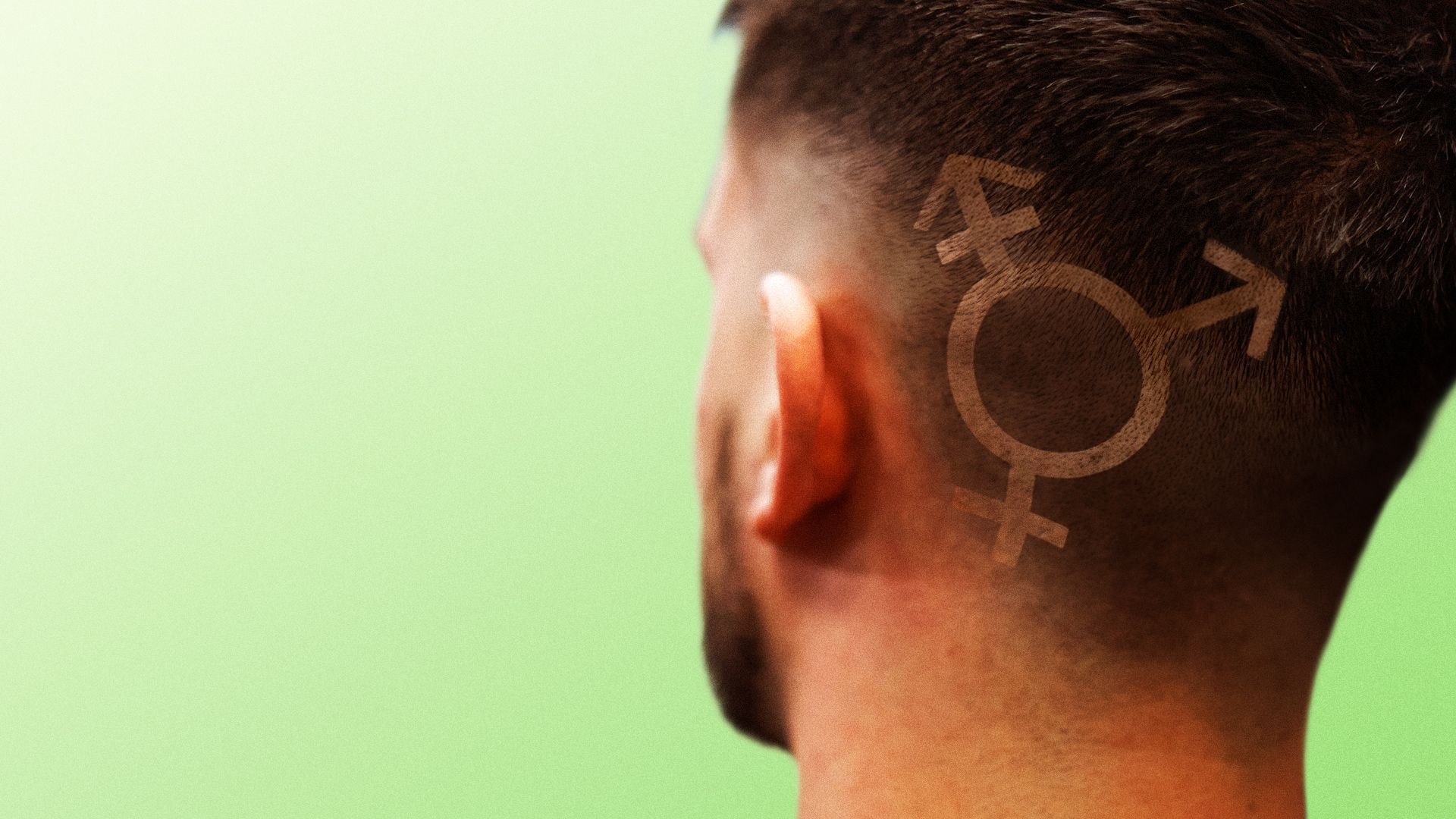 Illustration of the LGBTQ symbol etched into a man's hair.