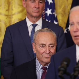 Biden book haunts Schumer