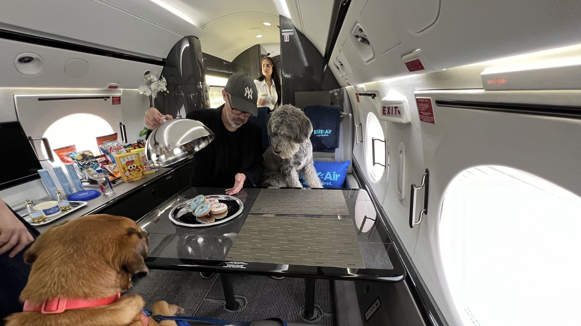 Airline tickets orders for dogs