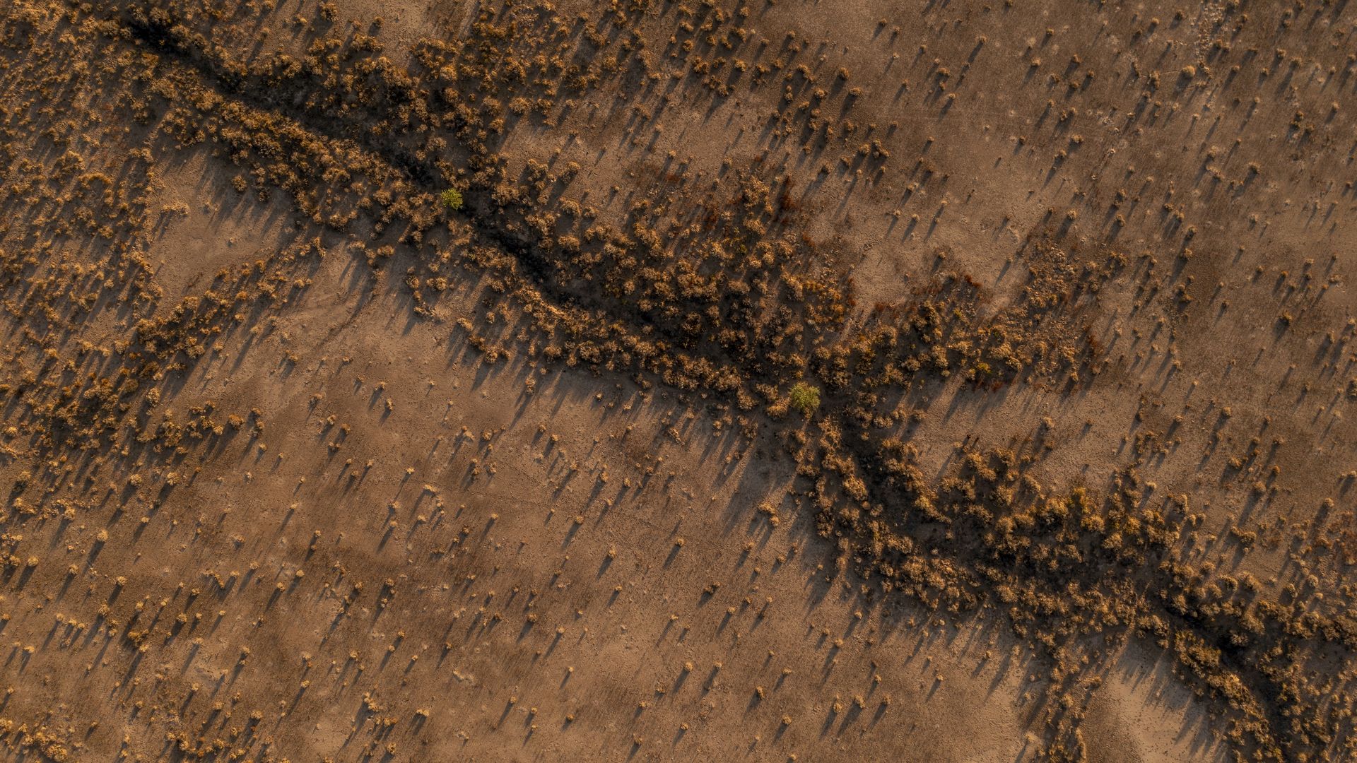 A fissure in the desert earth.