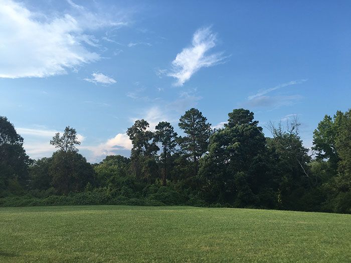 green-space-in-sedgefield