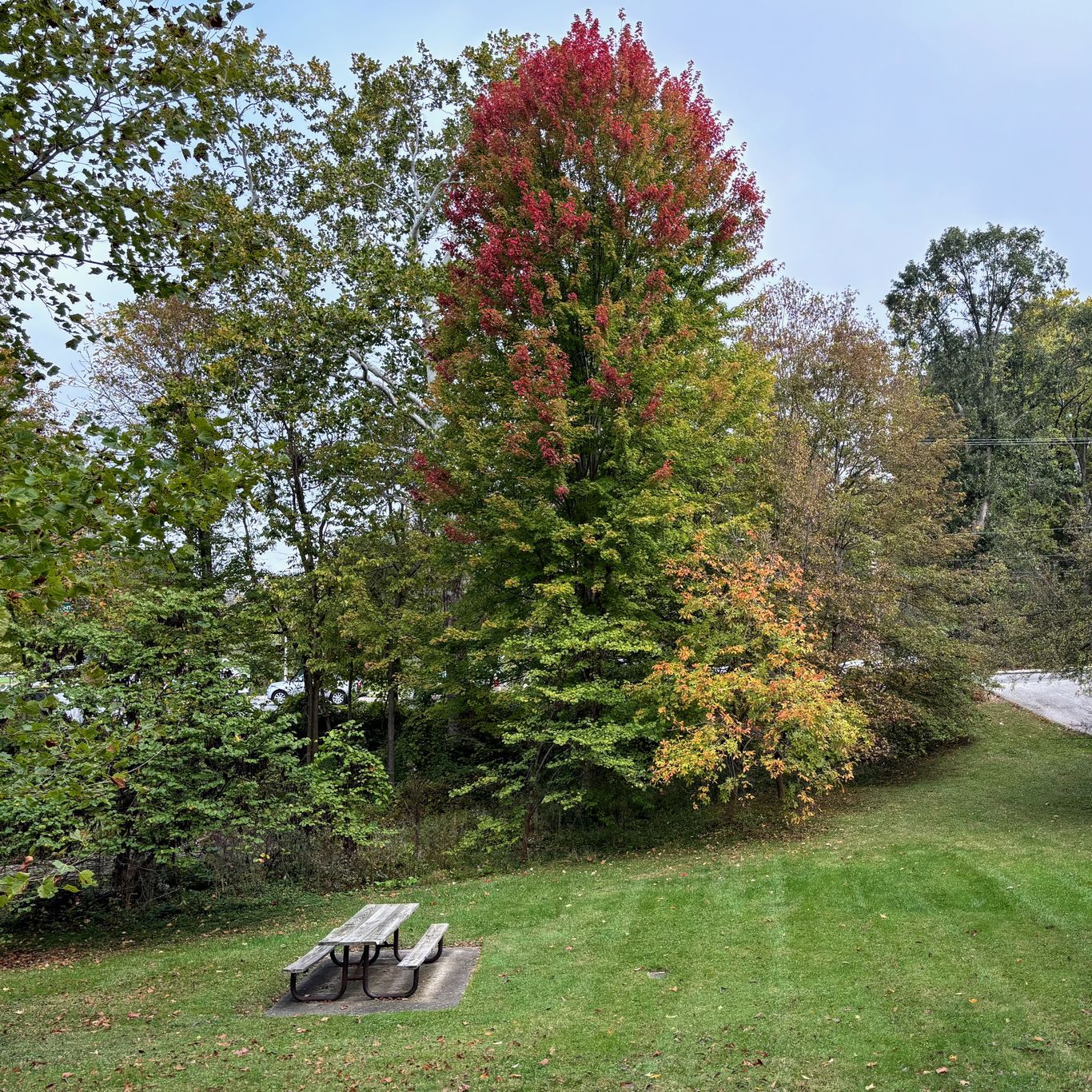 How climate change is delaying Ohio's fall foliage - Axios Columbus