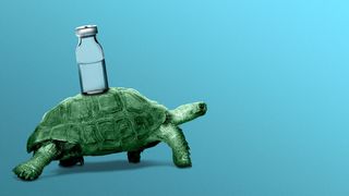 Illustration of a turtle carrying a vial of liquid