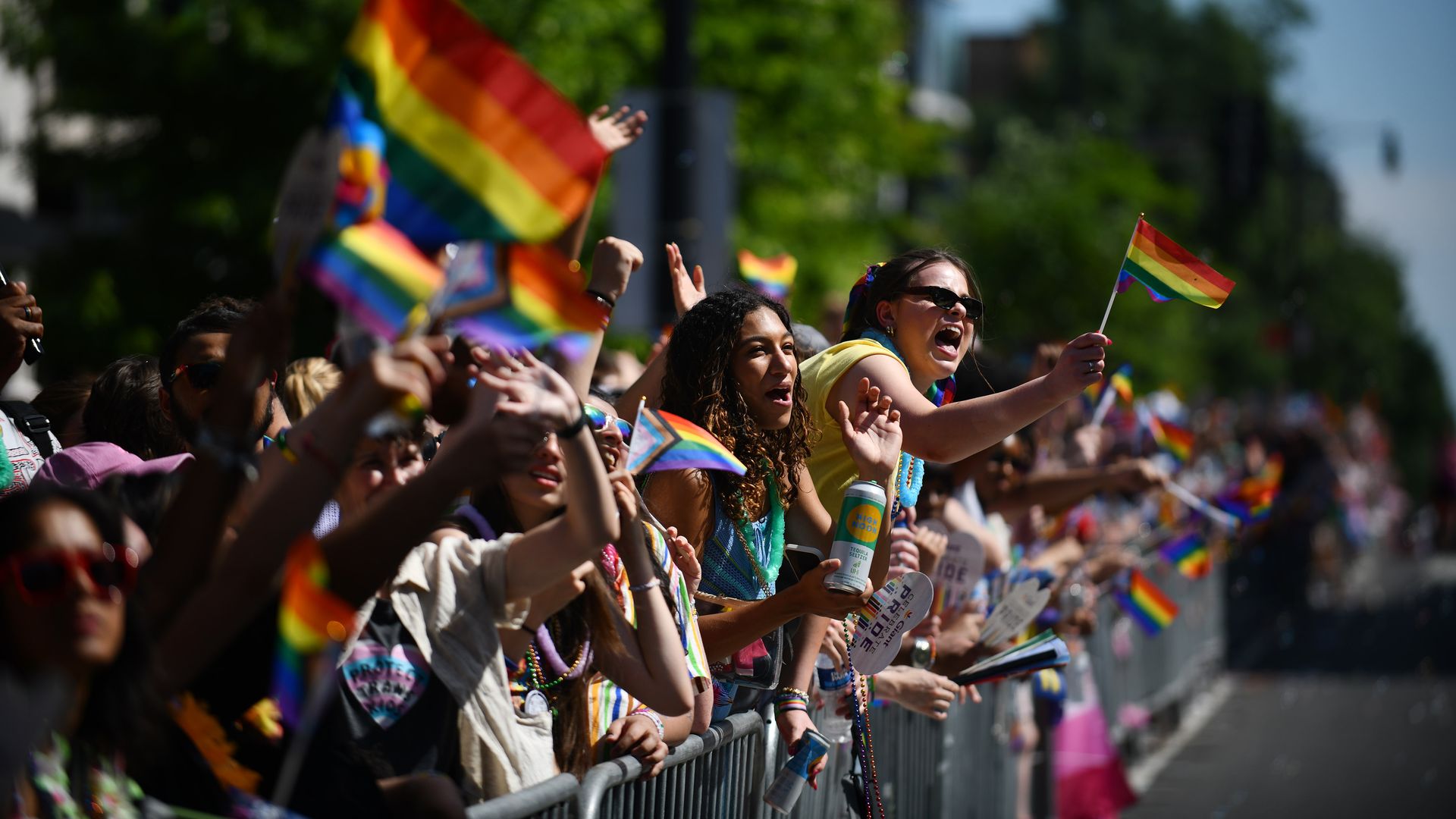 A photo shows people waving rainbow flags during the Pride parade in Washington, D.C.
