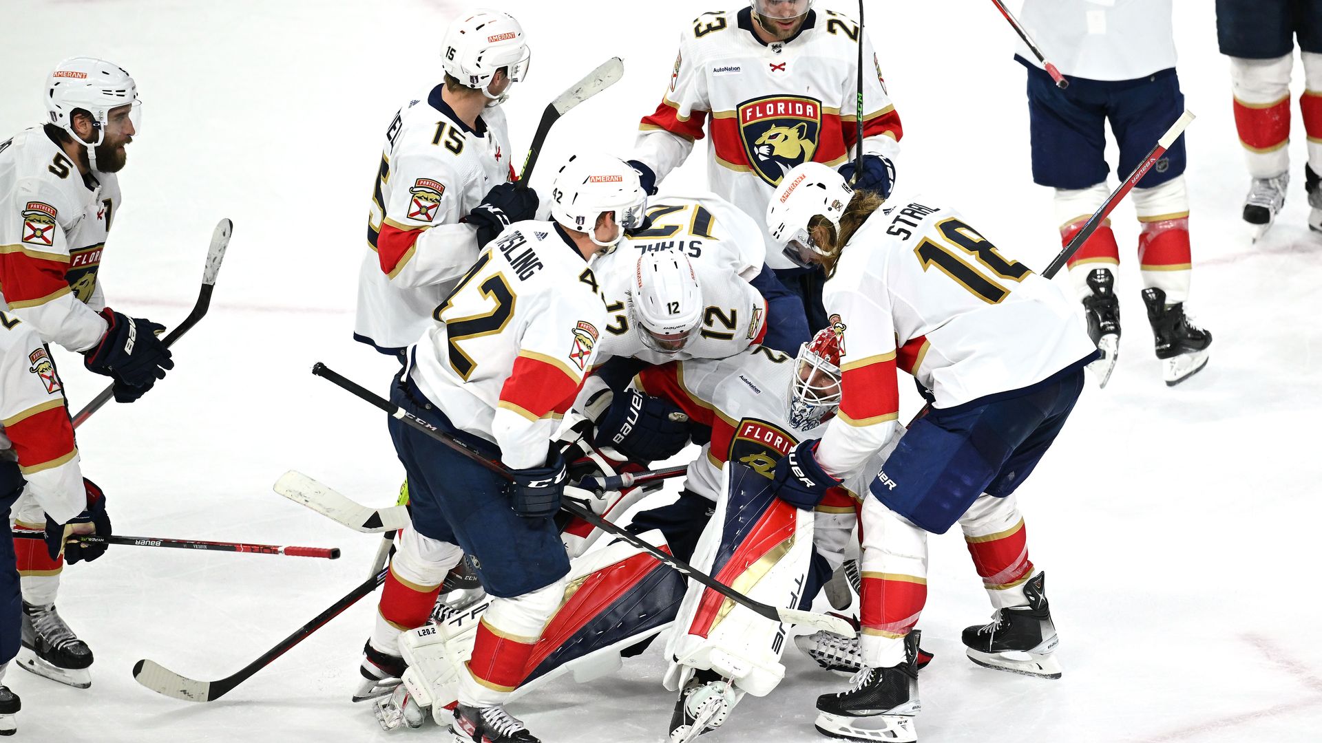 panthers celebrate win