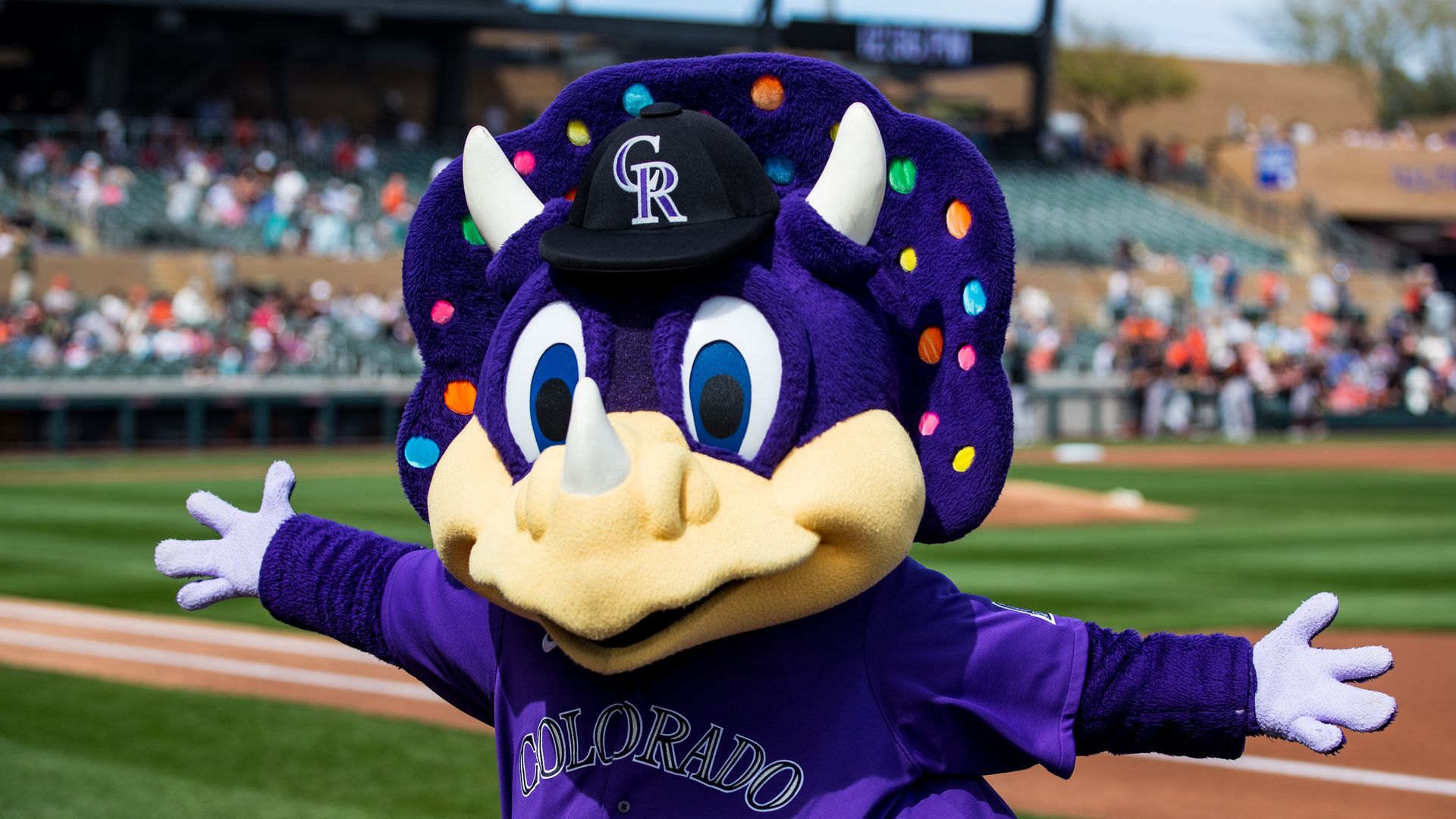 Colorado Rockies mascot Dinger opens arms wide in front of a baseball field in Scottsdale, Ariz. during spring training. 