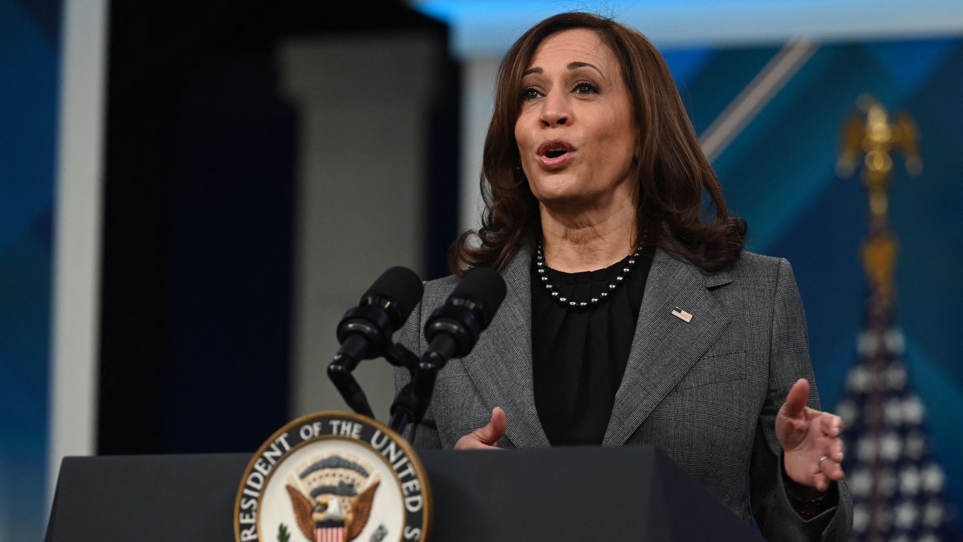 Vice President Kamala Harris is seen speaking from behind a lectern.