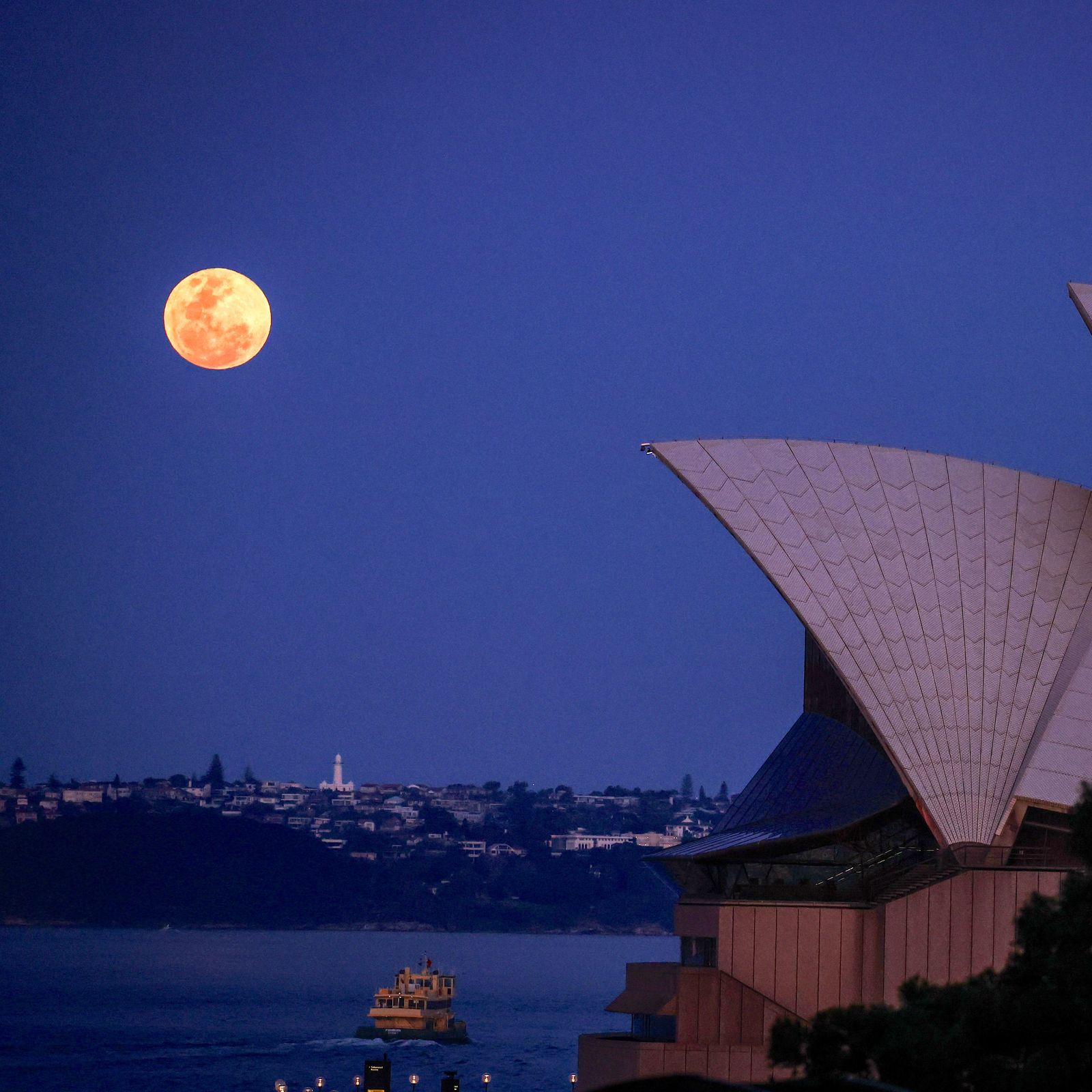 15th Anniversary BENI “NEW MOON” LIVE BENI「15th Anniversary BENI