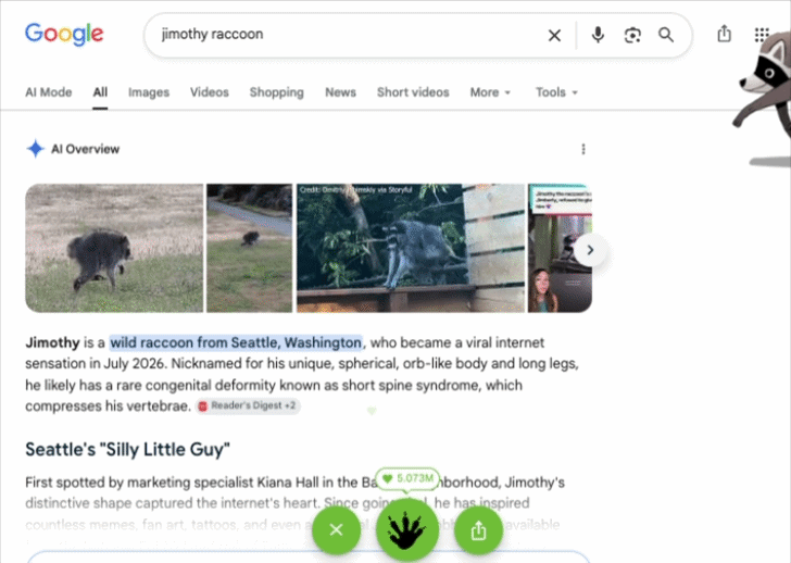 Animated screen recording of a Google search for "jimothy raccoon," showing an AI Overview with photos and text describing the viral Seattle raccoon, while a cartoon raccoon peeks in from the right side.