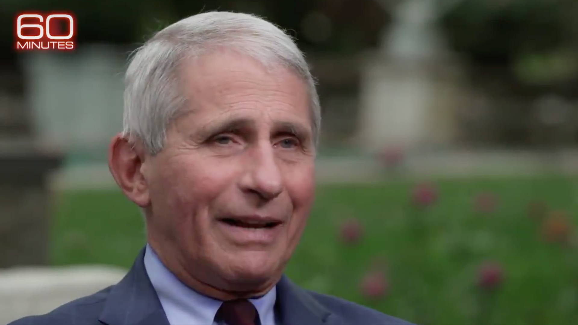 A screenshot of Anthony Fauci