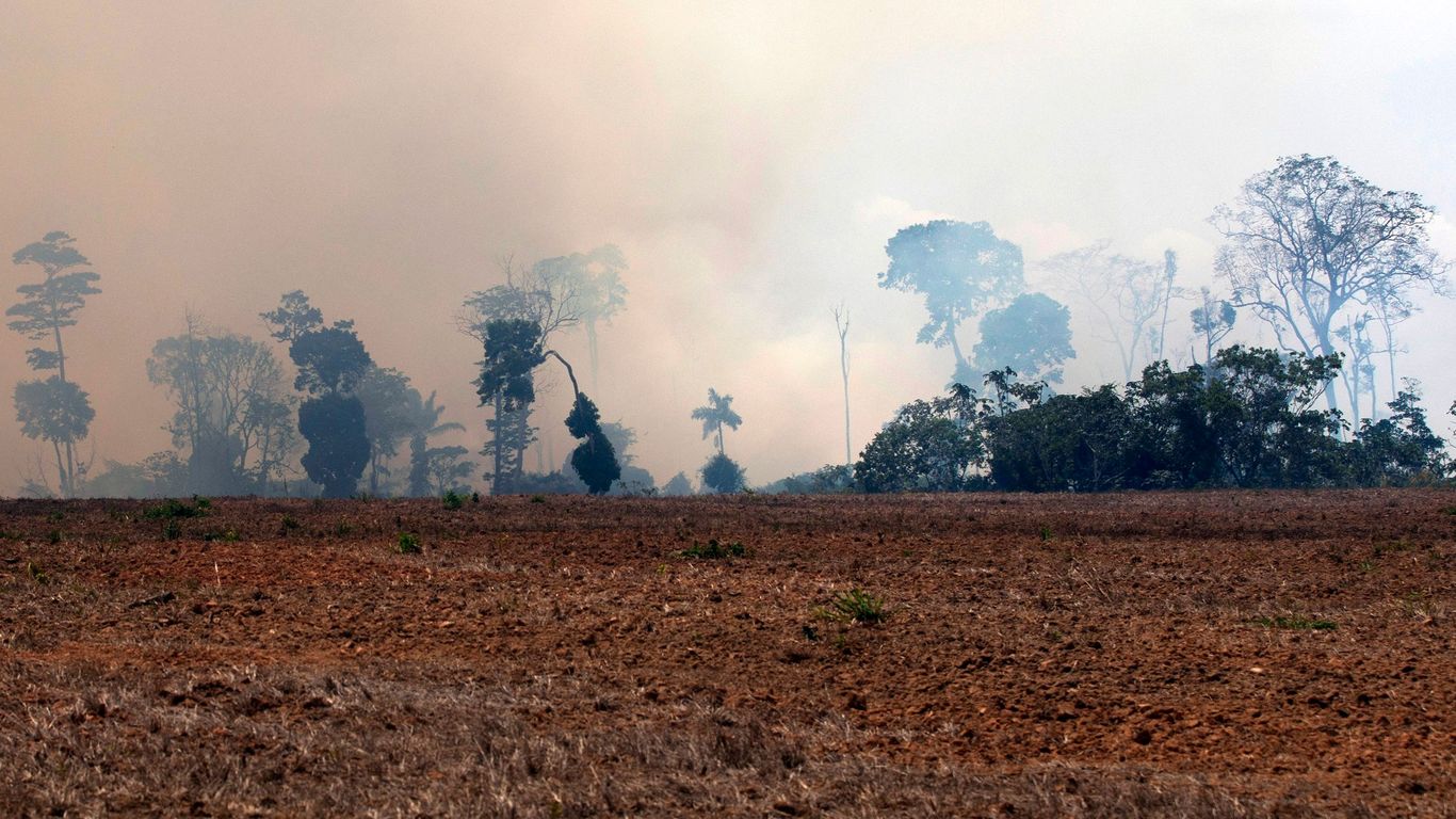 Fire on the Amazon 1993.