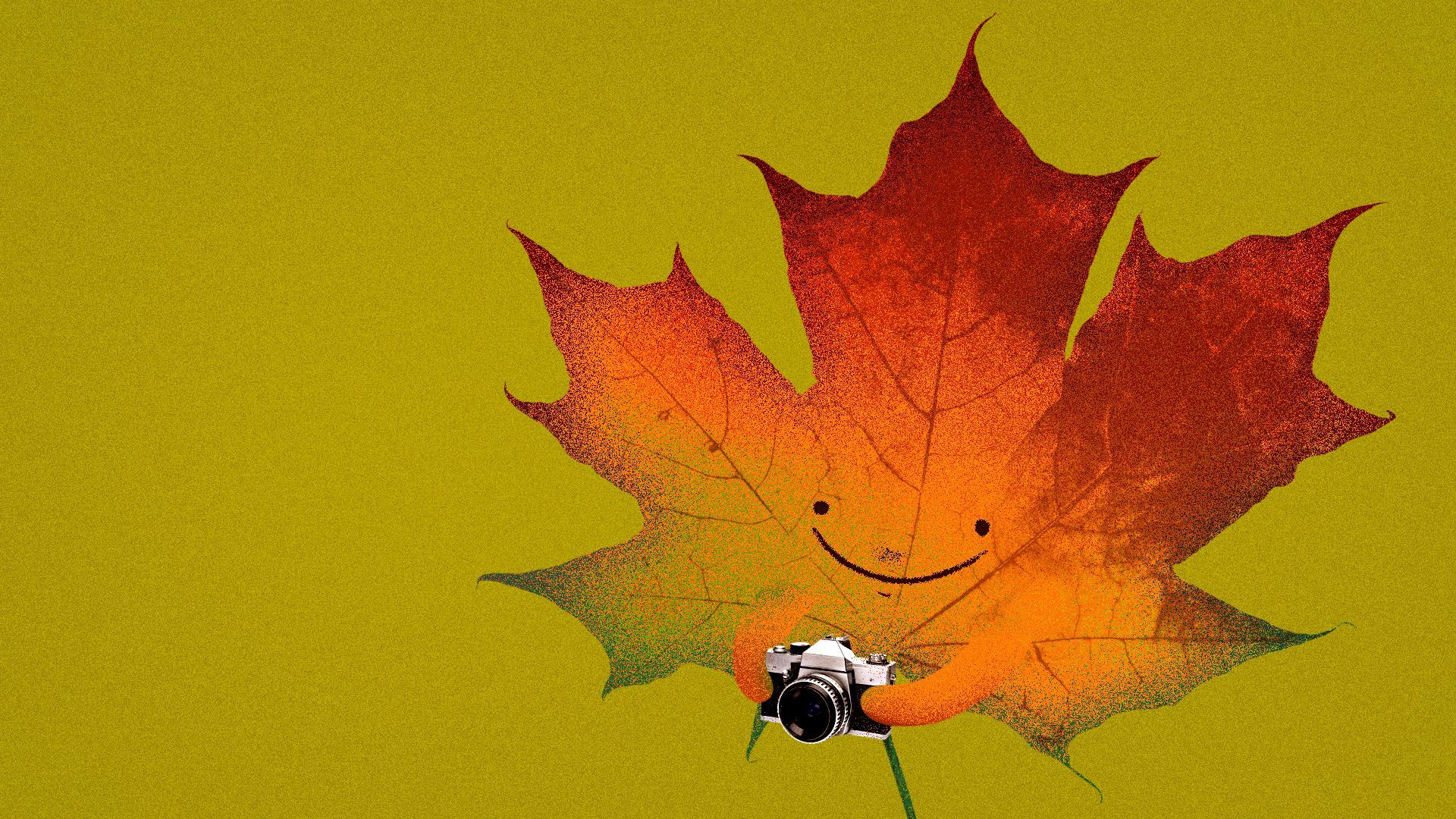 Illustration of a fall leaf holding a camera.