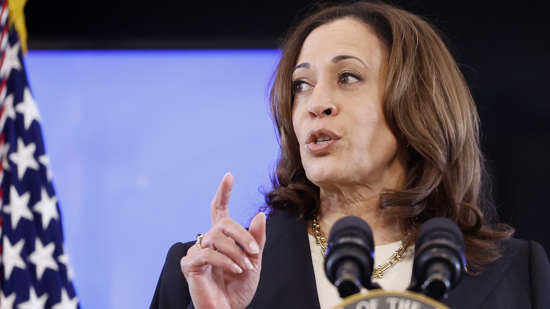 Kamala Harris Slams Trump For Saying His Indictments Appeal To Black Voters