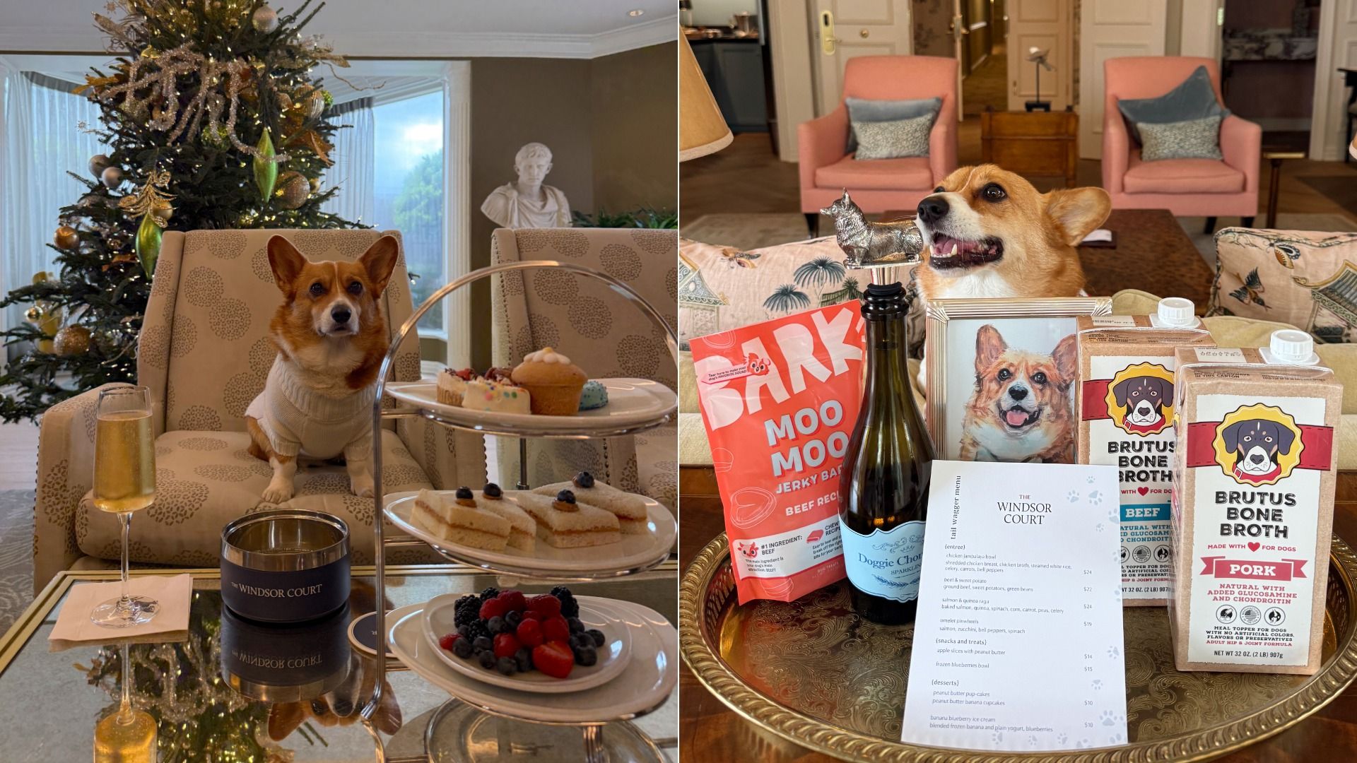 Two images of a corgi dog: left, sitting on beige armchair near decorated Christmas tree with tiered tray of treats and a glass of champagne; right, dog with dog treats, broth cartons, a bottle, and a menu.