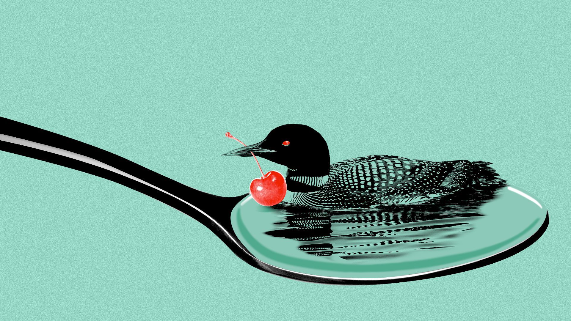 Illustration of a loon sitting on a spoon, with a cherry in its mouth.