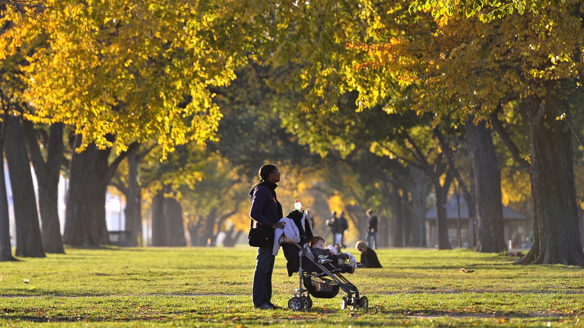 A person with a stroller on a fall day in the park.