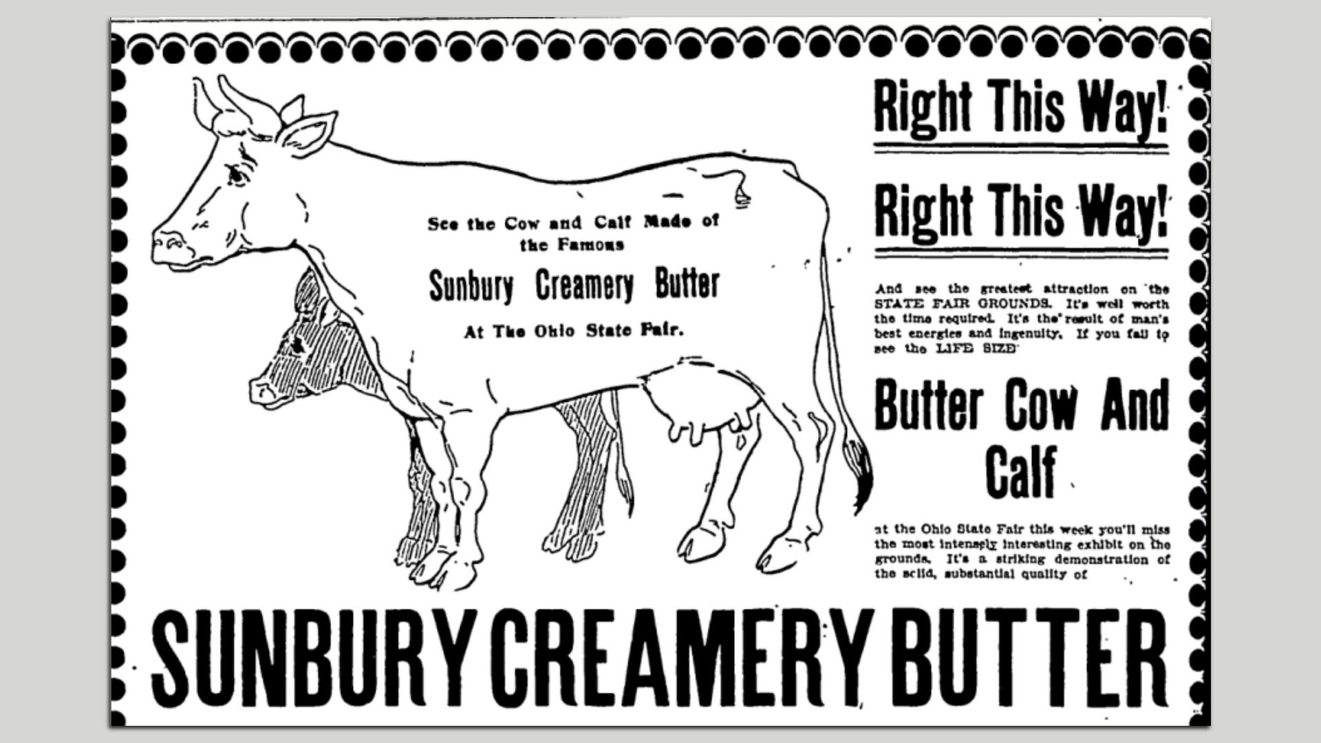 Vintage black-and-white poster featuring a cow and calf, with bold "Right This Way!" on the right and Sunbury Creamery Butter text, advertising at the Ohio State Fair; dotted border.