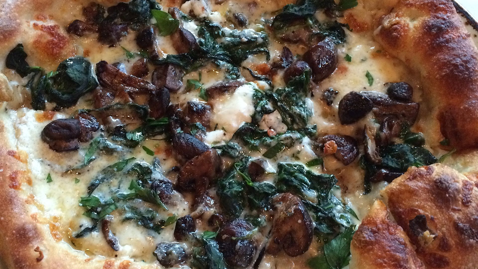 wolfgang-puck-pizza-bar-charlotte
