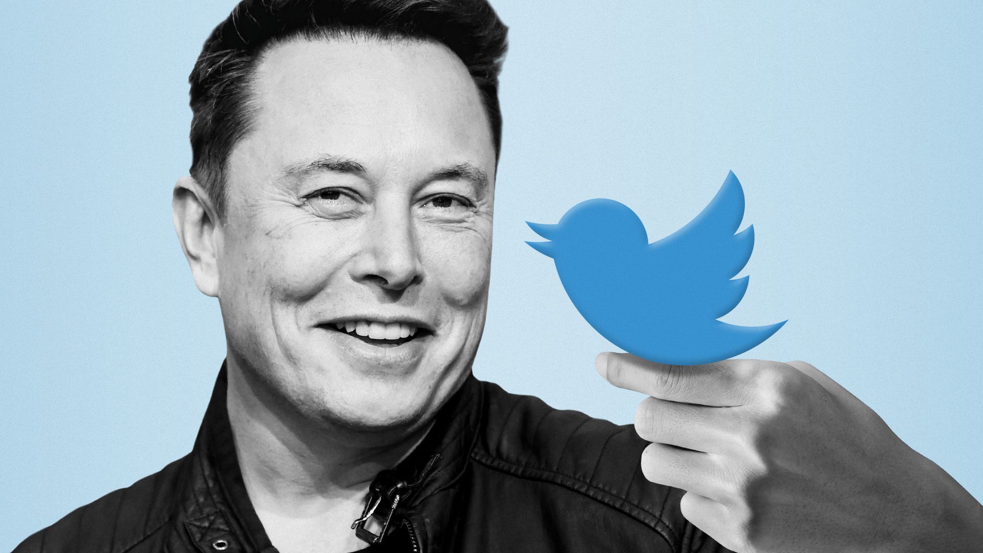 Illustration of the Twitter logo perched on Elon Musk's hand.