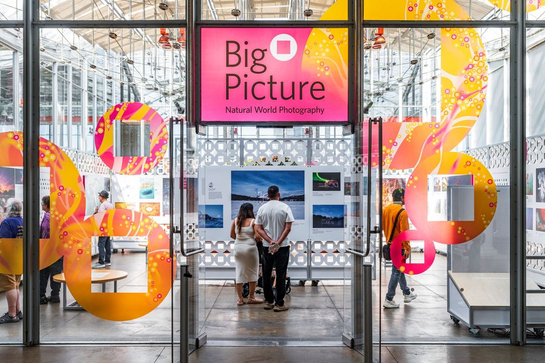 Opening of BigPicture: Natural World Photography Exhibition