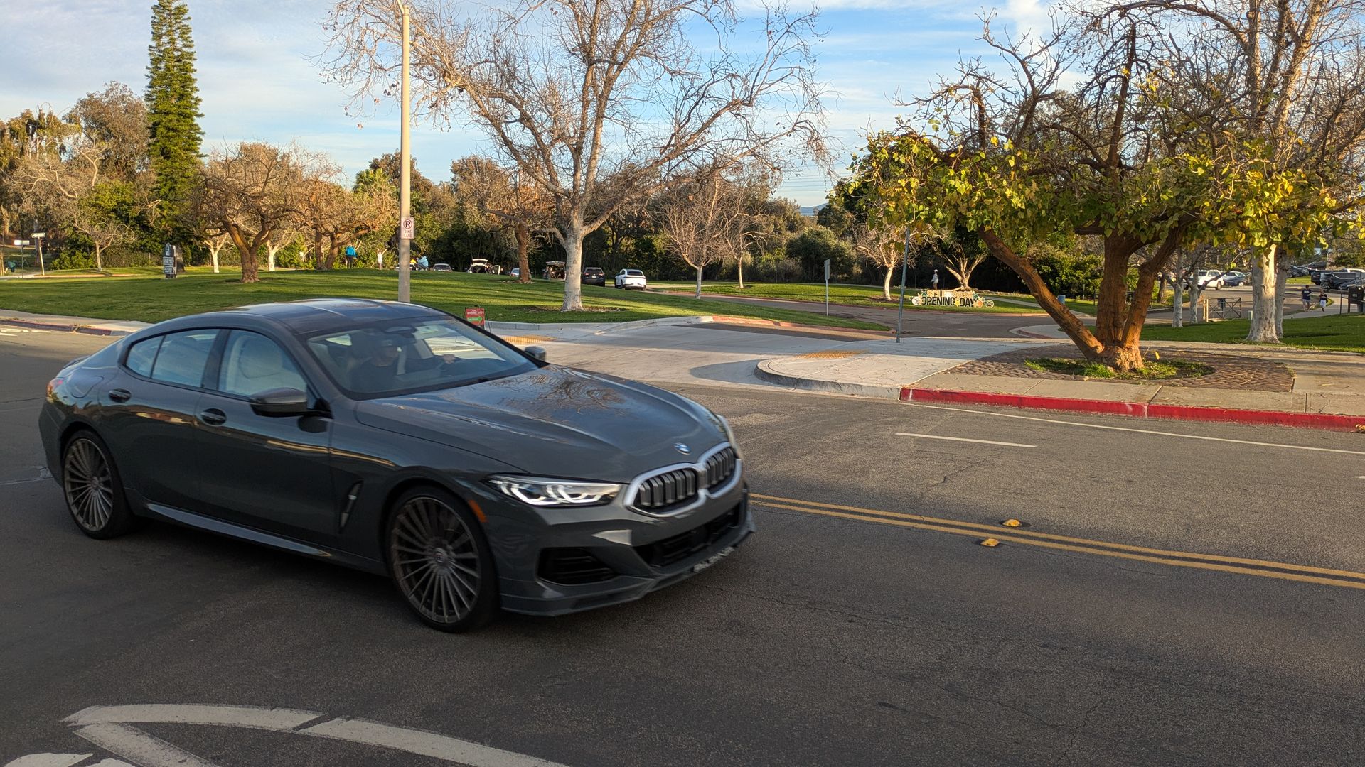 Dark gray BMW car on a sunny road near a park with leafless and leafy trees, blue sky with wispy clouds, and a streetlamp beside a curb painted red and white.