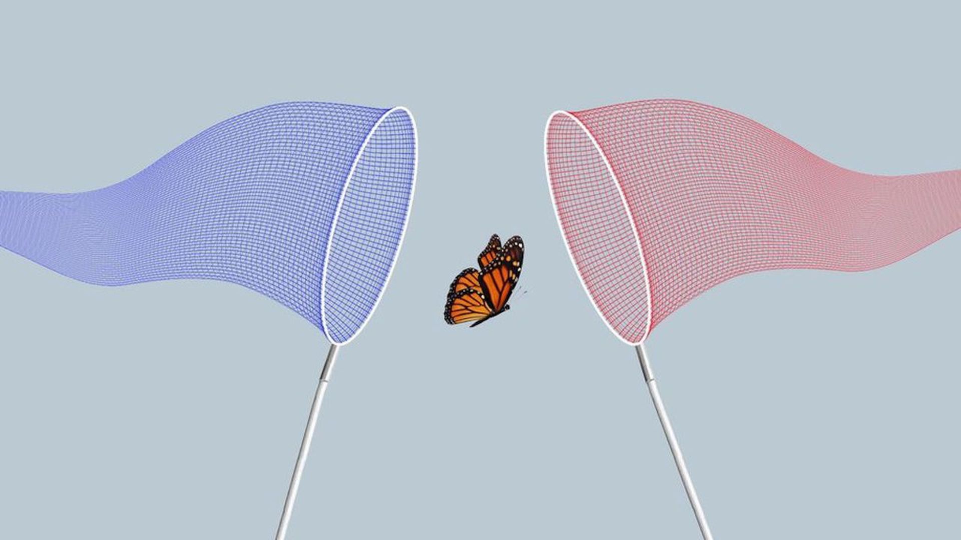 lllustration of red and blue nets trying to catch a butterfly.