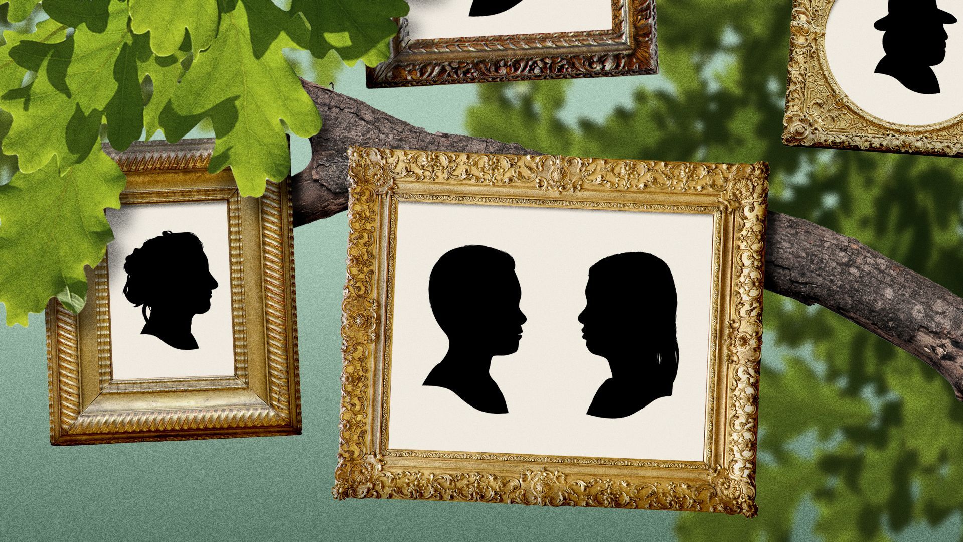 Illustration of traditional silhouettes hanging in a family tree. 