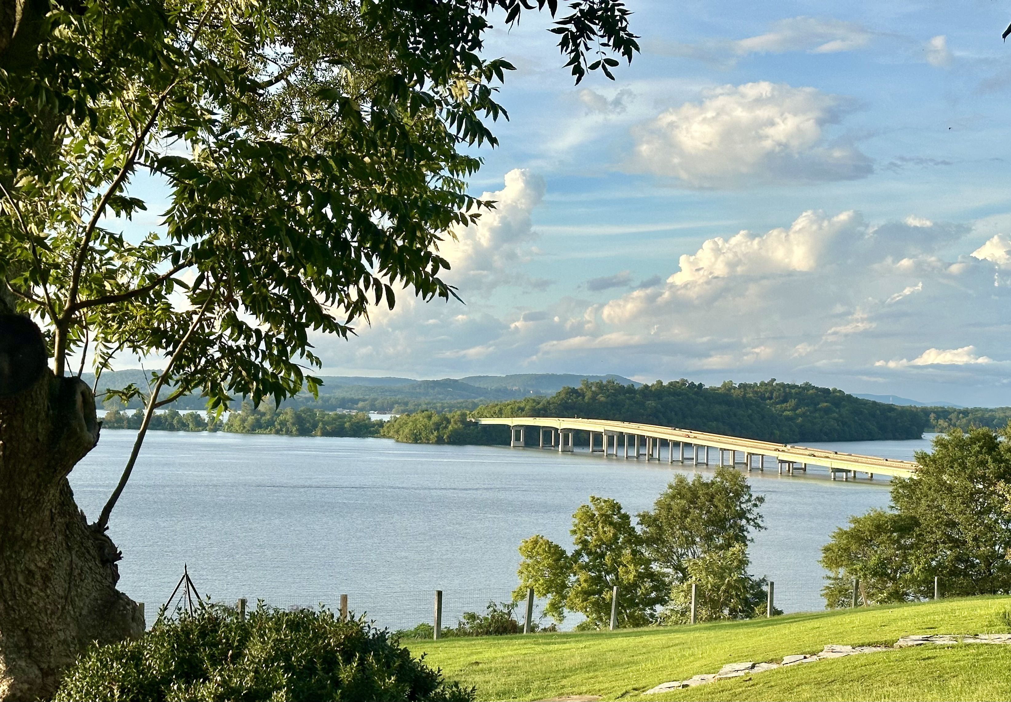 A view of a lake and trees on a sunny day