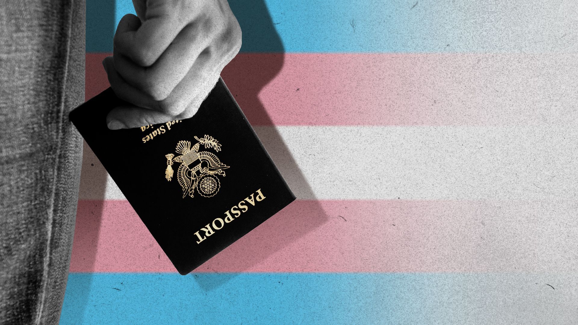 Illustration of a person holding a passport with a disappearing trans flag behind them