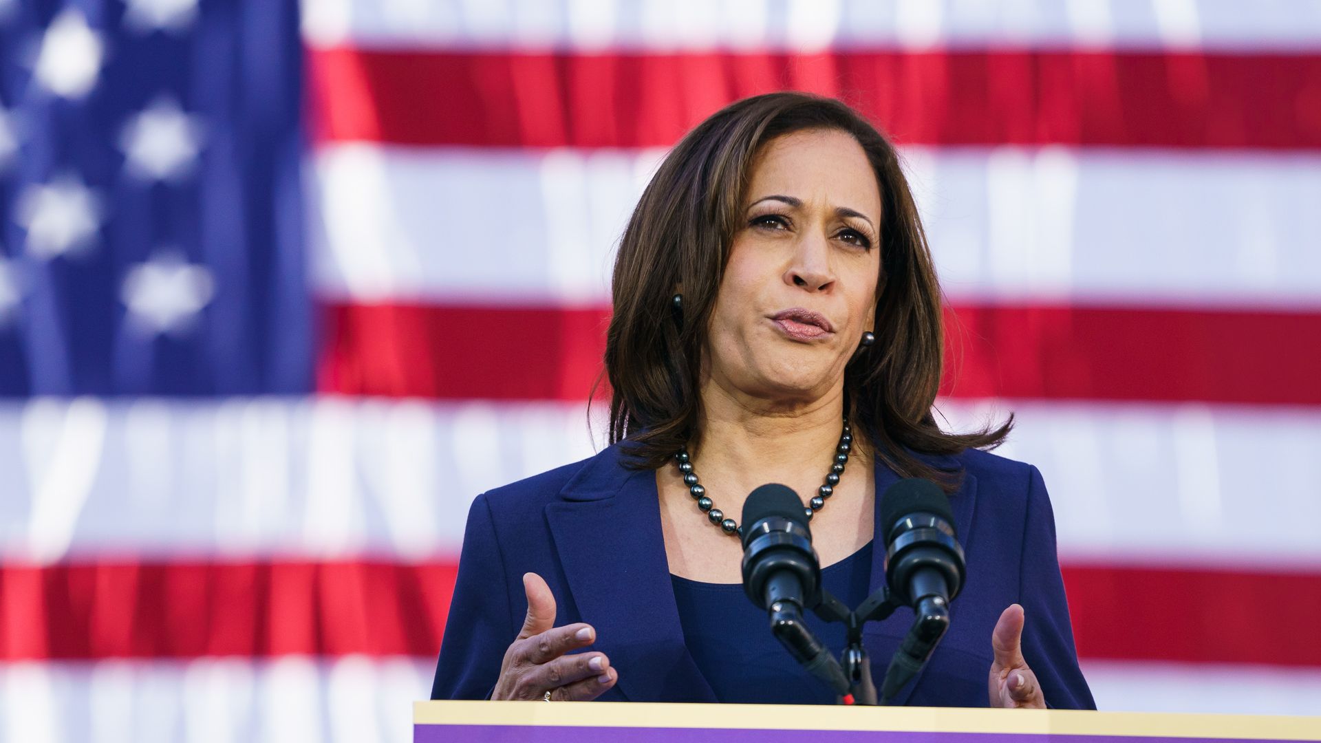 Kamala Harris speaks with American Flag behind her.
