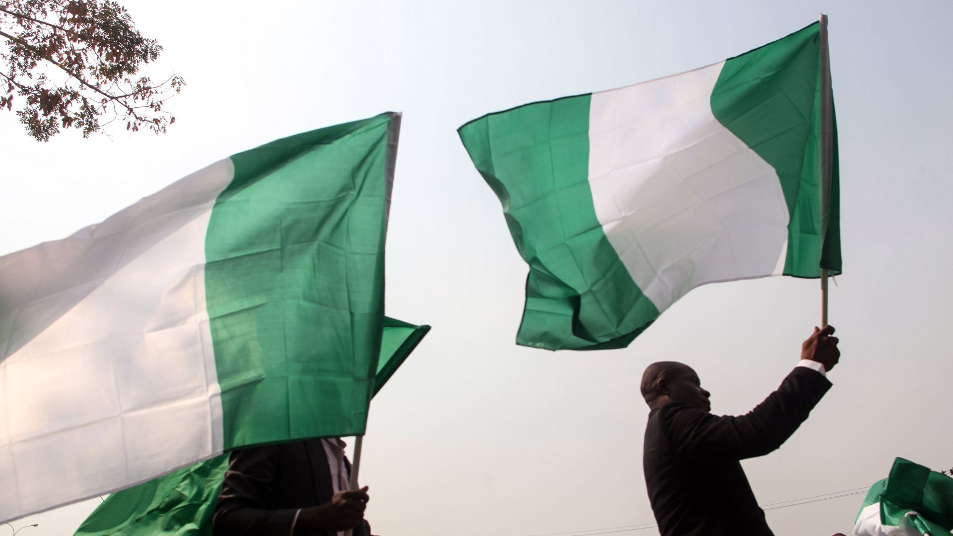 The nigerian flag.