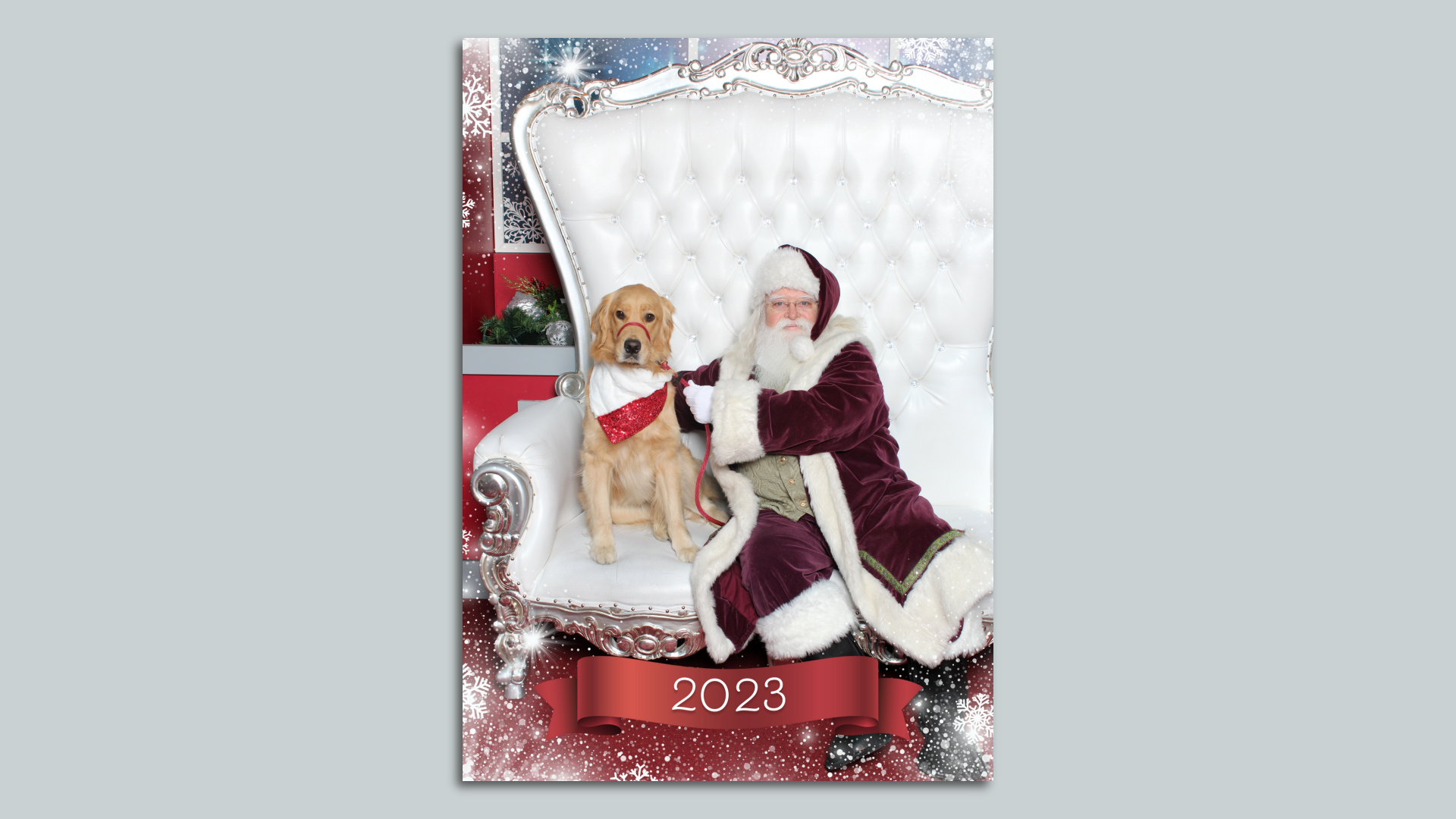 Santa takes a photo with Bailey Blue, a golden retriever and dog influencer, on top of a large white armchair at the Burlington Mall.