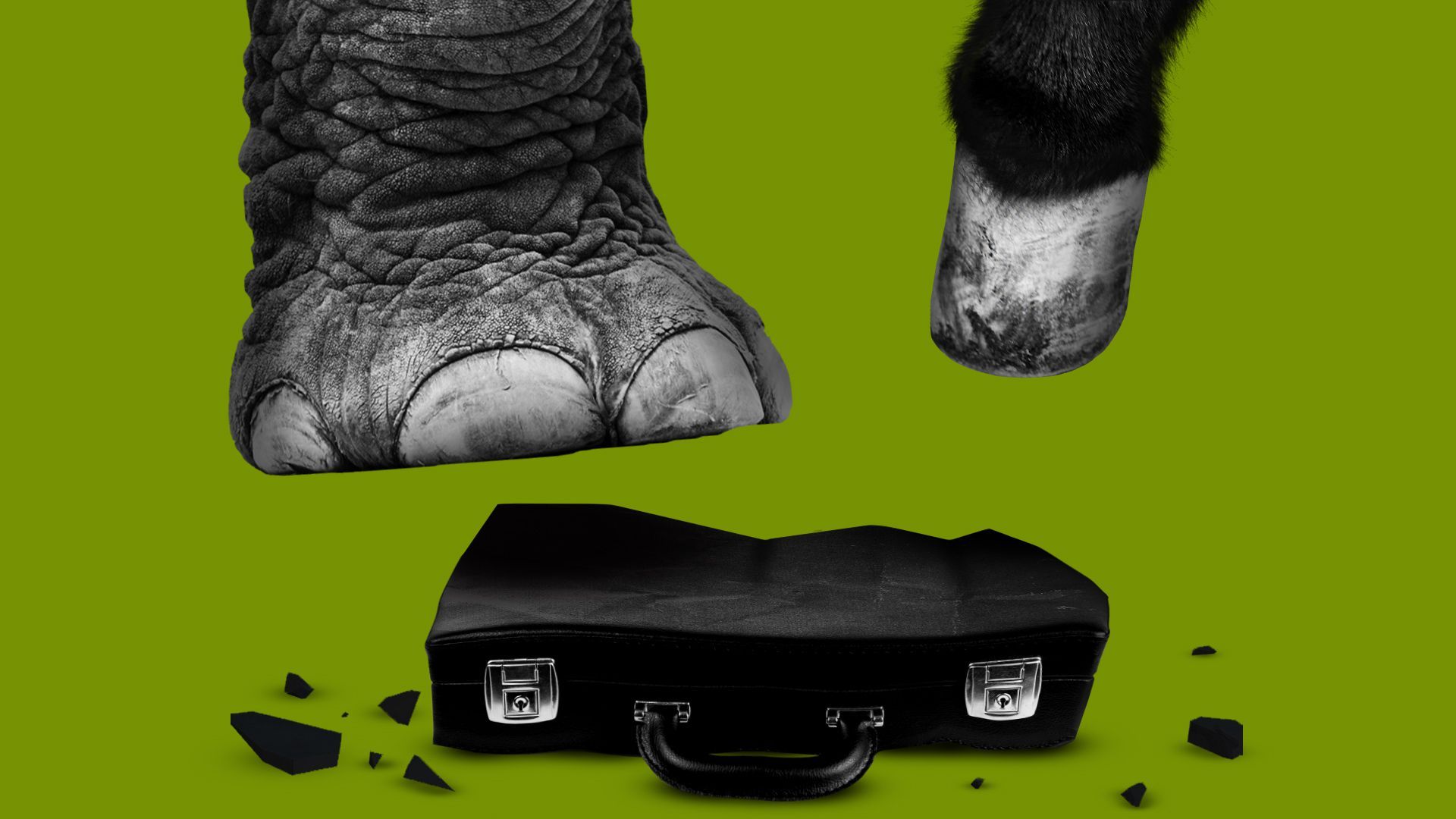Illustration of an elephant foot and a donkey hoof beating up a briefcase. 