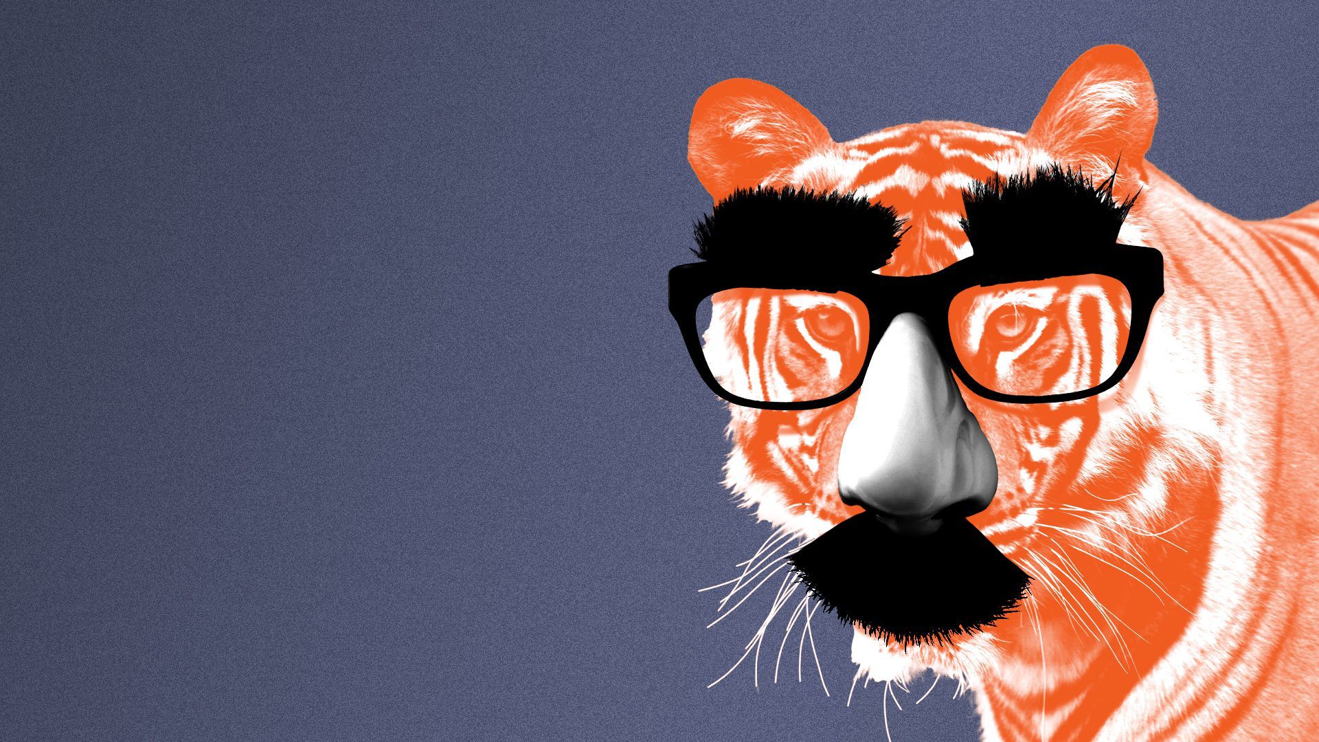 Illustration of a tiger wearing a Groucho Marx-style glasses, nose, and mustache disguise.