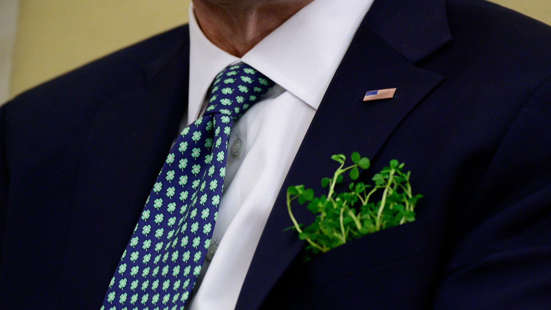 President Biden is seen wearing a shamrock tie and with live shamrocks stuffed in his breast pocket.