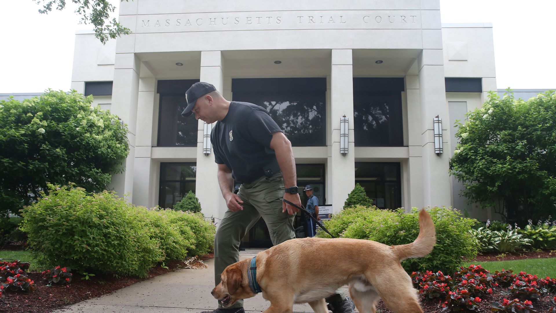 A man in a black shirt and green pants walks a tan dog on a leash outside the Massachusetts Trial Court building surrounded by green bushes and red flowers.