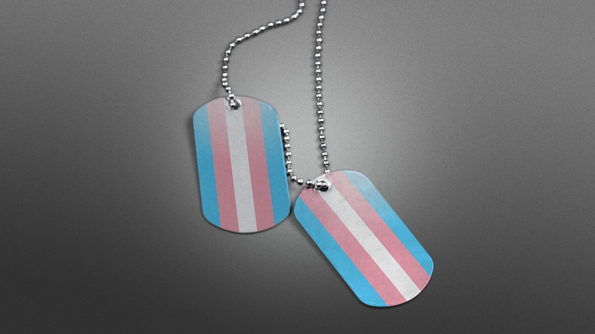 Illustration of military dog tags featuring the trans flag