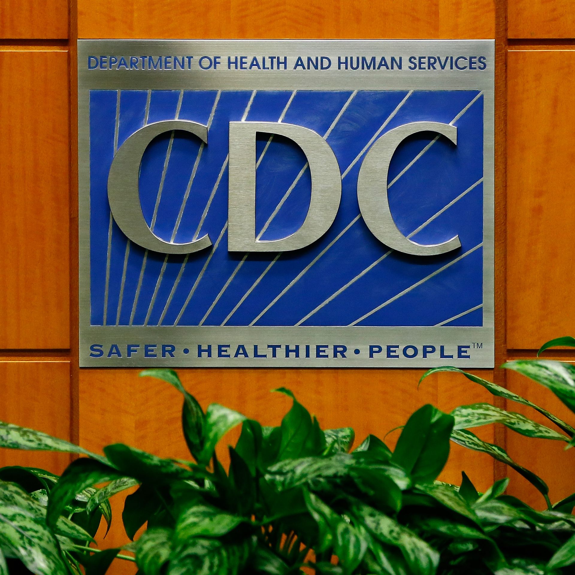 Photo of the CDC logo hanging on a wooden wall