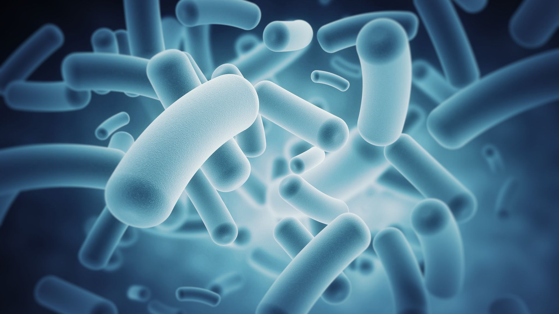 Gut microbiome