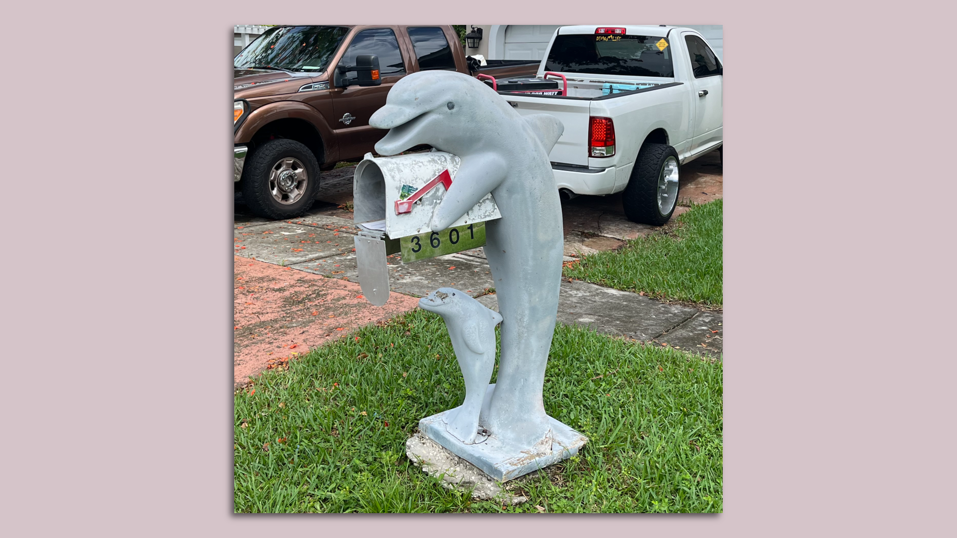 A dolphin mailbox