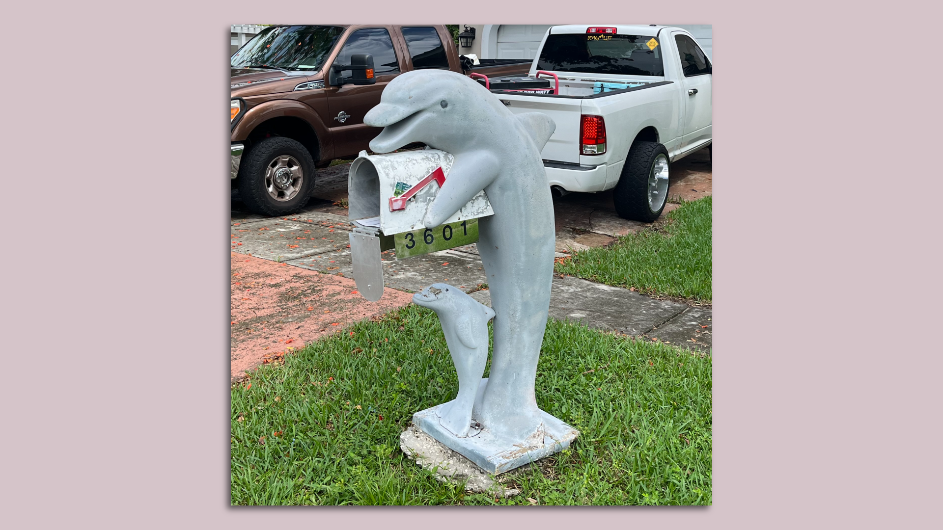 miami dolphins mailbox