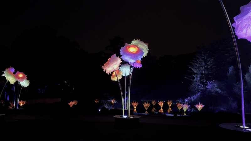 Peonies are my favorite flowers. Photo: Nadia Lopez/Axios