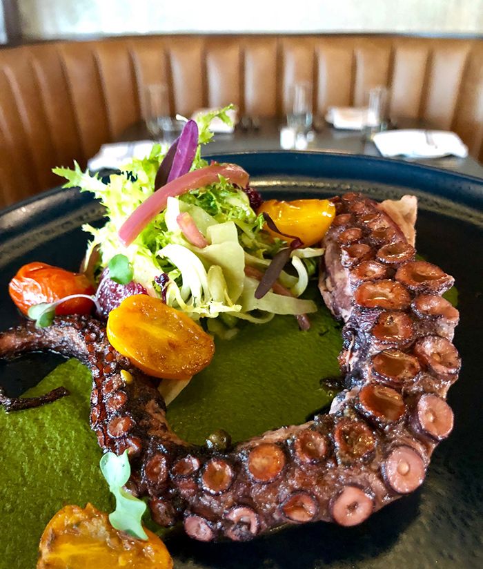 octopus-bar-marcel-restaurant-southpark