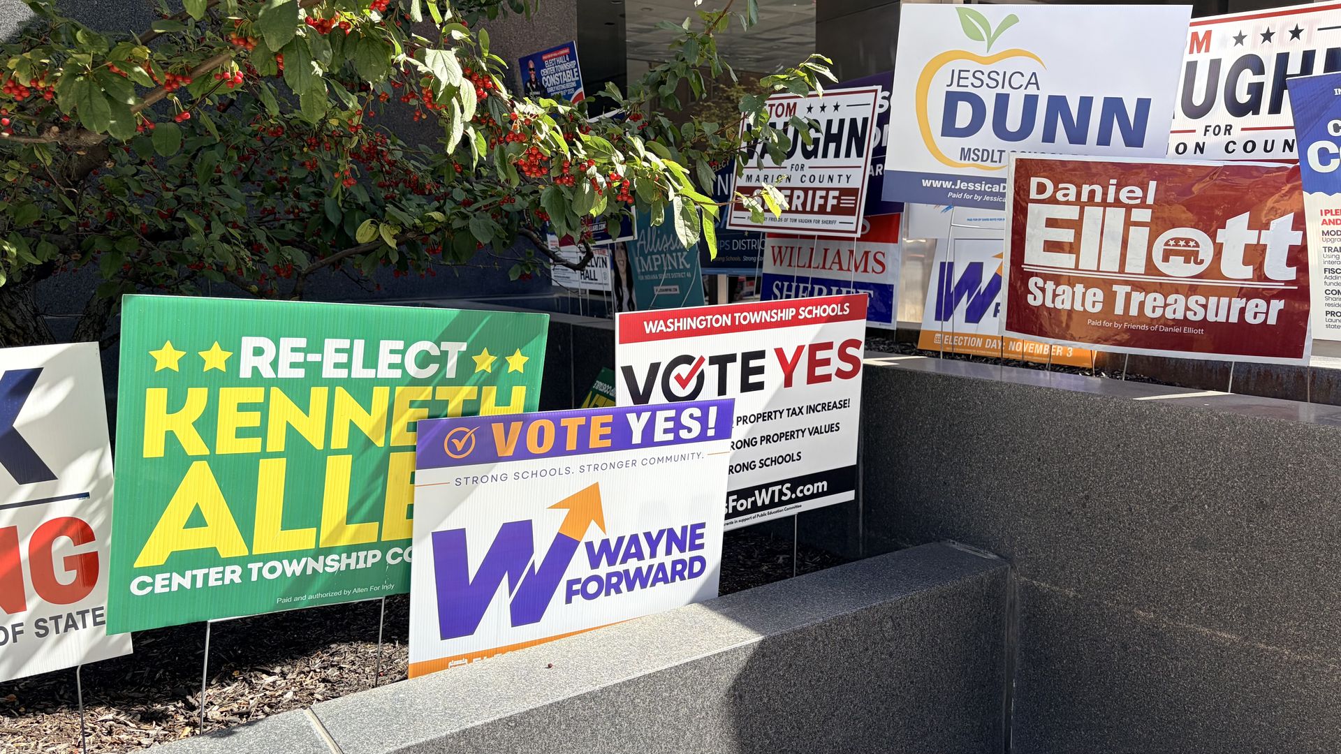 Numerous colorful political campaign signs line a stair-step concrete display beneath a leafy tree with red berries, creating a busy election-themed scene.