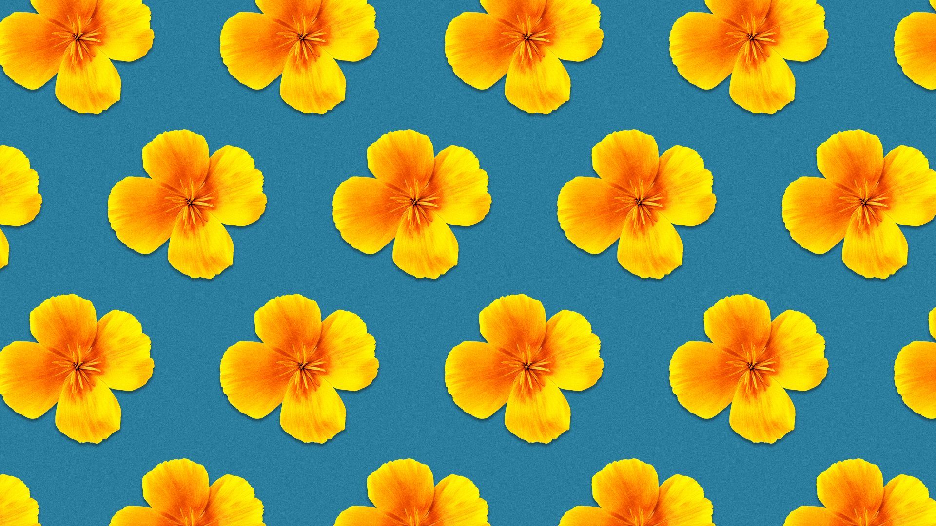 Illustration of California poppies in a repeating pattern.